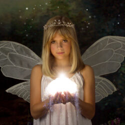 Chloe medium fairy wings